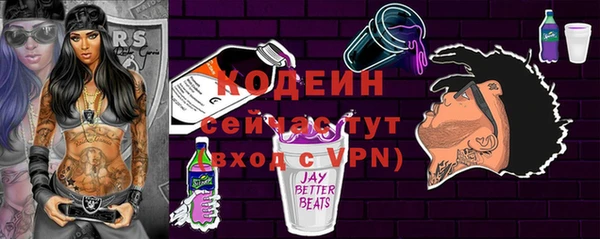 apvp Няндома