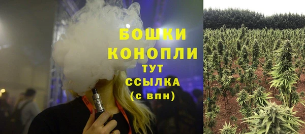 apvp Няндома