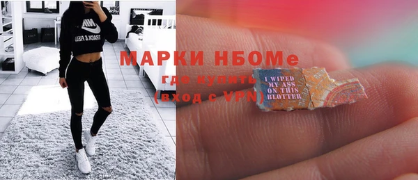apvp Няндома